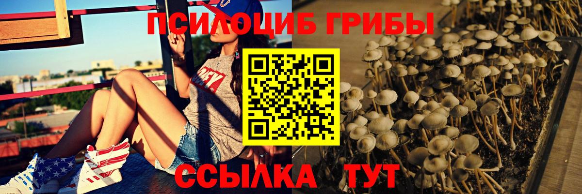 Галлюциногенные грибы мухоморы  Вход с VPN  Тихвин 