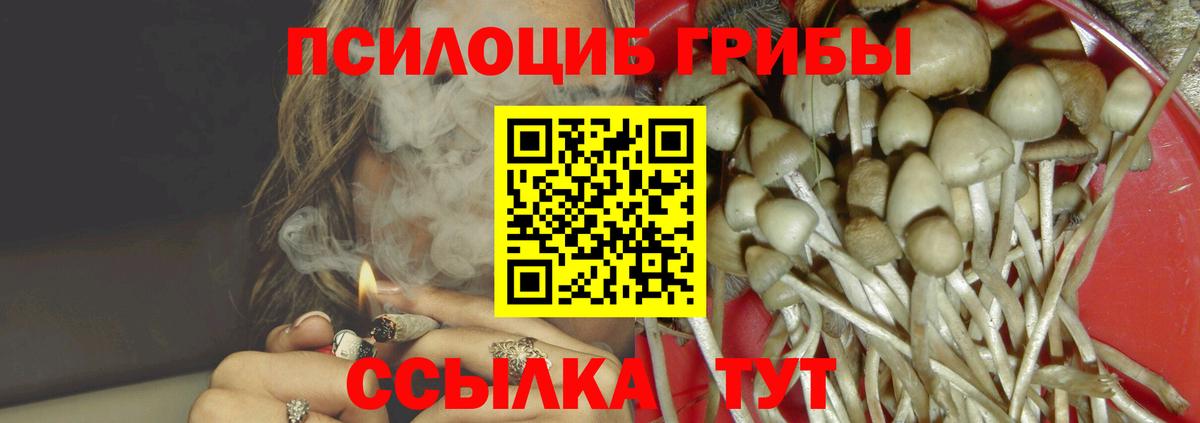 Псилоцибиновые грибы прущие грибы Тихвин